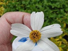 -狐尾山公园
