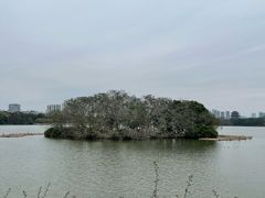 -海珠湖公园