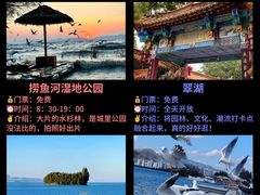 -翠湖公园