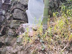 -仙霞关景区