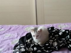 -惠康宠物医院(华能路店)