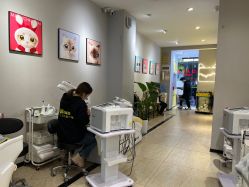 -洗脸猫·洗脸吧