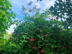 -苏州吴中太湖旅游区