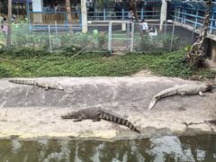 -广州长隆飞鸟乐园