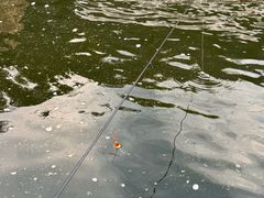 -DGE季风钓虾营地·团建·聚会