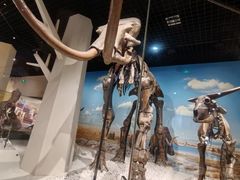 -国家自然博物馆