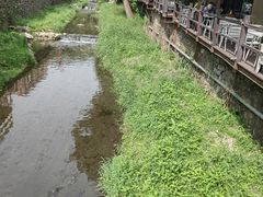 -Local泰莲庭(虹鳟鱼店)