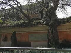 -天台山景区