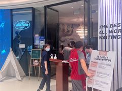 -Mr·Fish鱼鲜生海鲜放题(银泰in99店)