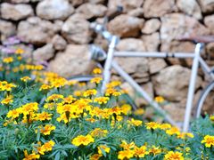 -田德能咖啡博物馆