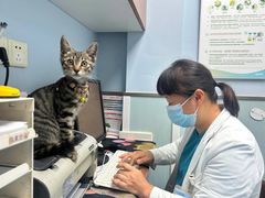 -纳吉亚猫专科动物诊疗中心(蒋宅口分院)