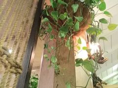-春暖花开(西溪店)