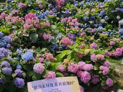 -王府井步行街