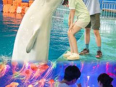 -威海华夏城景区