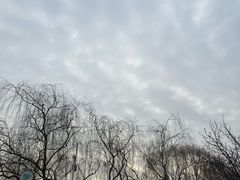-南翠屏公园