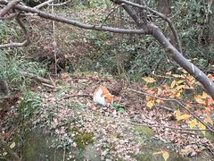 -九华山风景区月身宝殿
