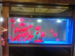 -臻享养生·SPA·影院式足道(汇臻店)
