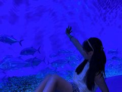 -波塞冬旅游度假区