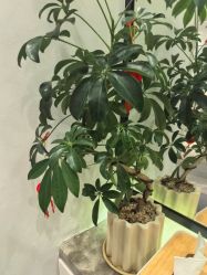 -LJOY丽锦造型·烫发染发