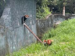 -宁波野生动物园