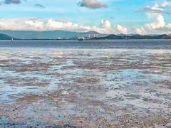 -深圳湾公园(南山区)
