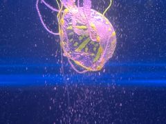 -常州海昌海洋探索馆