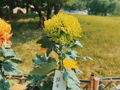 -国家植物园