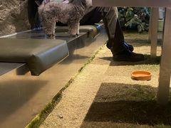 -J Create城市露营咖啡·简餐·宠物(上海动物园店)