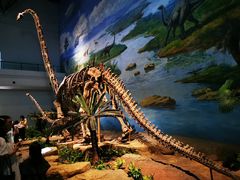 -自贡恐龙博物馆