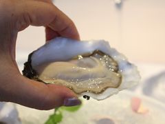 -Oyster Talks 四度蚝法餐厅