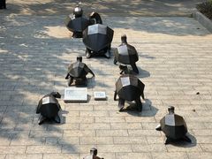-广东惠东海龟国家级自然保护区
