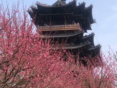 -杭州半山国家森林公园