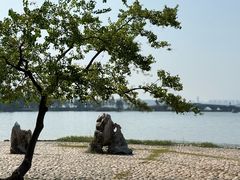-东湖落雁景区