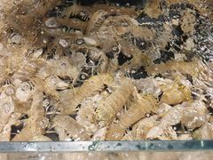 -健跳小海鲜(人民路店)