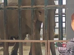 -哈尔滨北方森林动物园