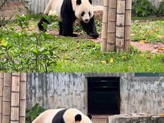 -广州动物园