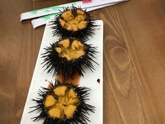 -海胆小馆(东北水饺·春柳店)