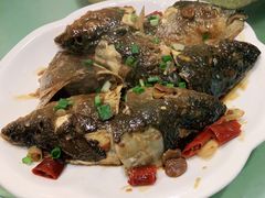 红烧鱼嘴-旅宁大酒店