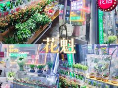 -全明星滑冰俱乐部(万象城店)