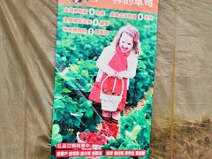 -大自然农场蔬菜草莓采摘园