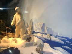 -陕西自然博物馆