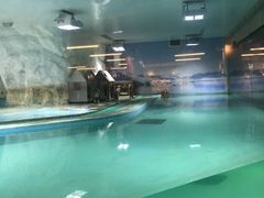 -北戴河圣蓝海洋公园