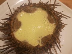 -海胆小馆(东北水饺·春柳店)