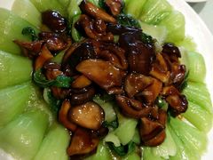 -萍香大厨·葱烧大鱼头(解放北路店)