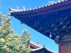 -善化寺
