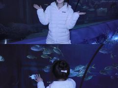 -重庆欢乐海底世界