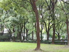 -上海交通大学医学院附属瑞金医院门诊部