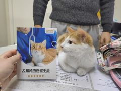 -德元·美联众合24小时动物医院(总院)