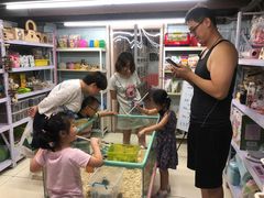 -钓仓鼠(洋桥北里小区店)