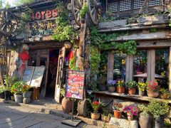 -乌镇西栅景区